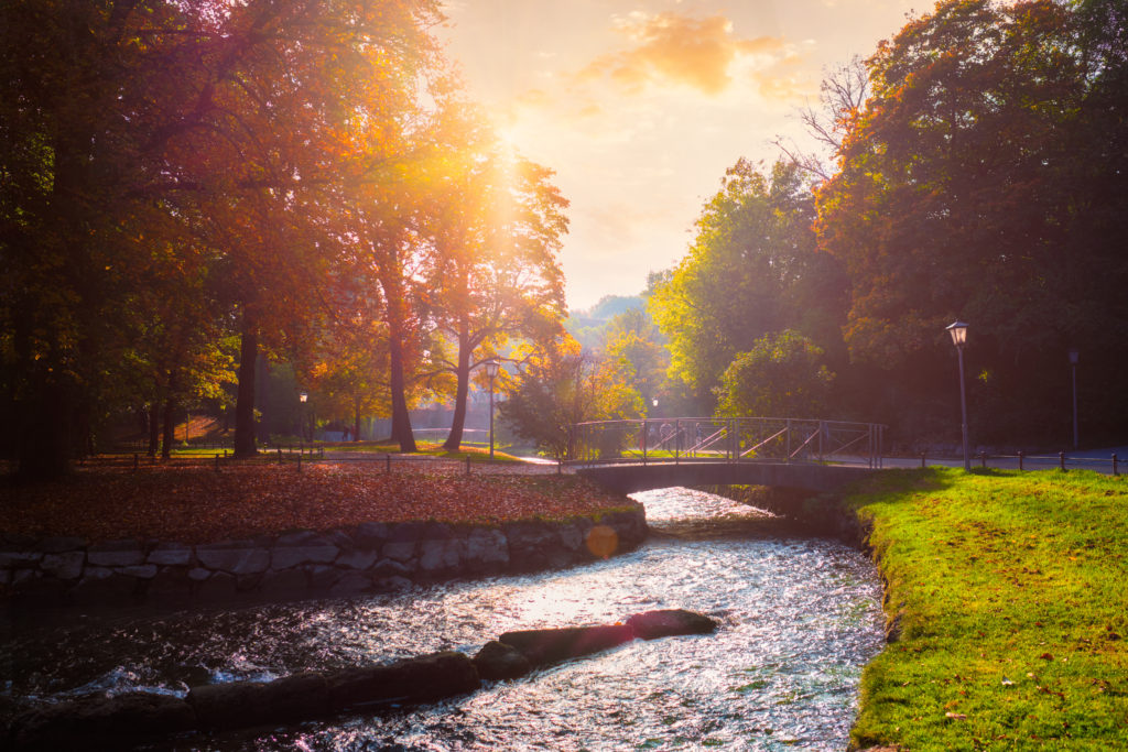 Englischer Garten München Morgens